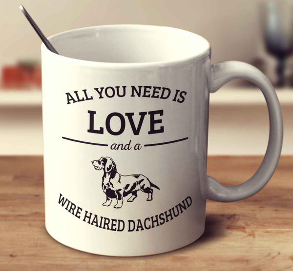 All You Need Is Love And A Wire Haired Dachshund