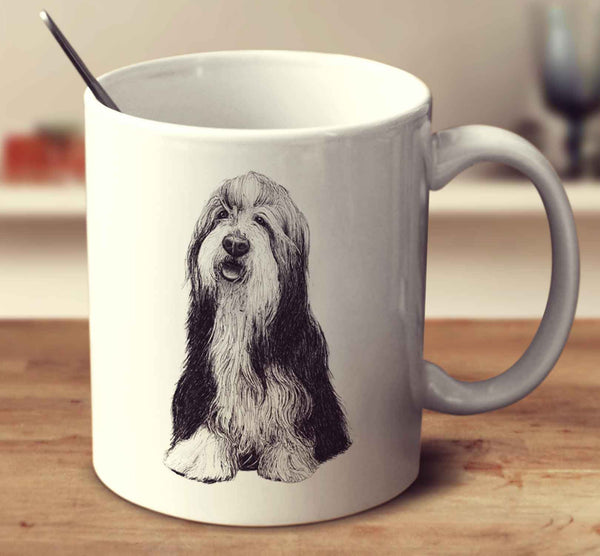 Bearded Collie Sketch