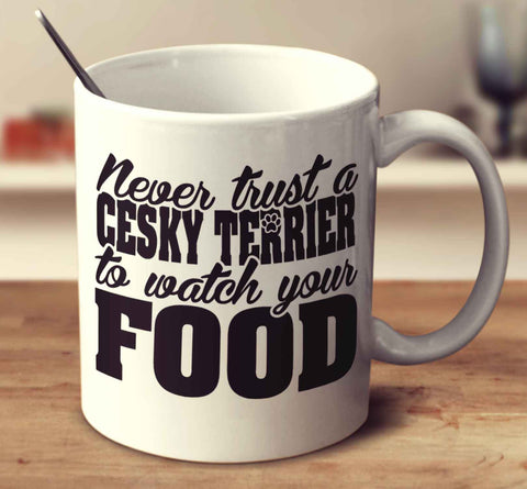 Never Trust A Cesky Terrier To Watch Your Food