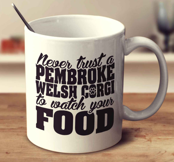 Never Trust A Pembroke Welsh Corgi To Watch Your Food