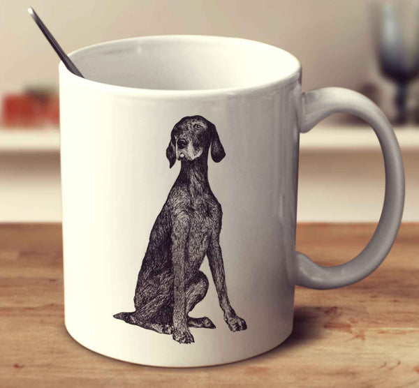 German Shorthaired Pointer Sketch