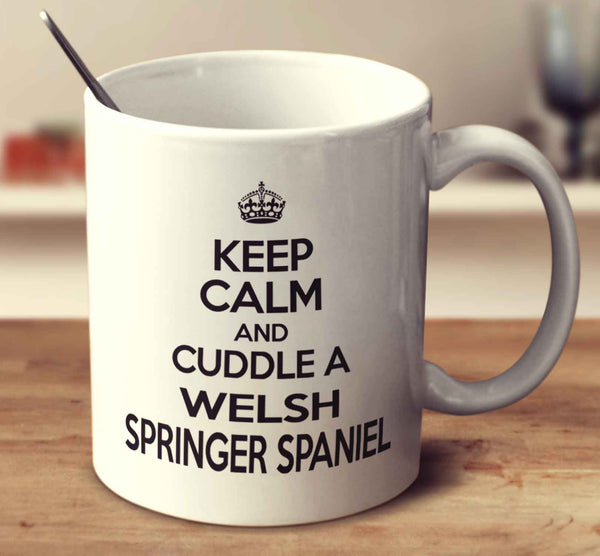 Keep Calm And Cuddle A Welsh Springer Spaniel