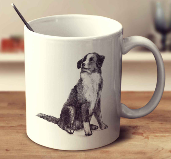 Nova Scotia Duck Tolling Retriever Sketch