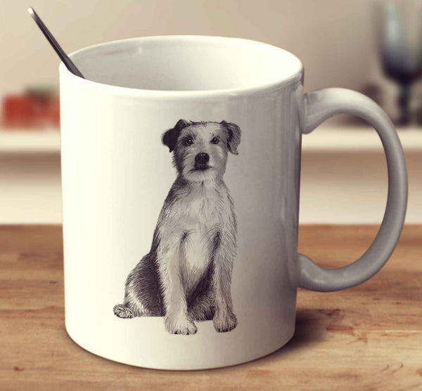 Parson Russell Terrier Sketch